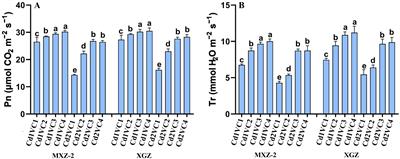 Vermicompost application improves leaf physiological activity, 2-acetyl-1-pyrroline, and grain yield of fragrant rice through efficient nitrogen assimilation under Cd stress